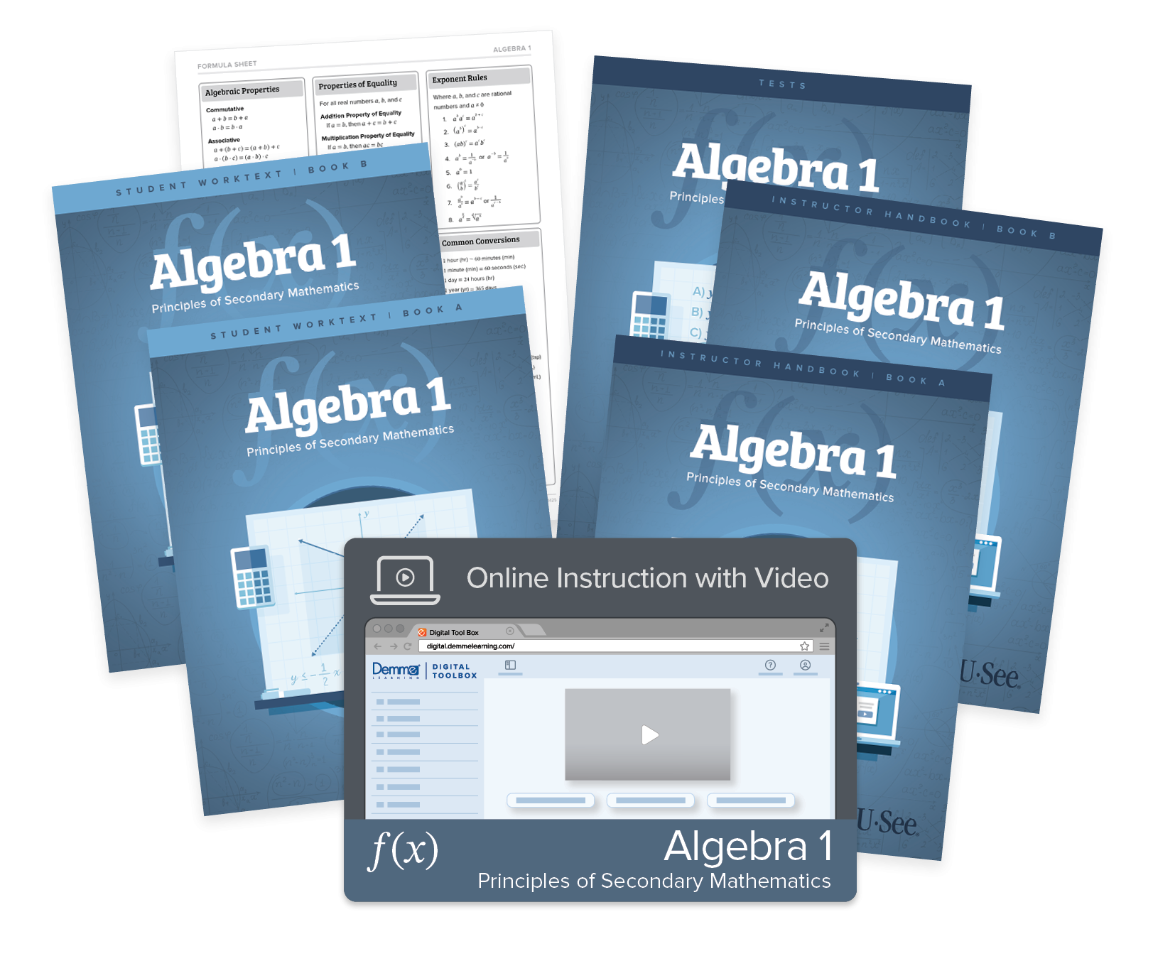 Algebra 1: Principles of Secondary Mathematics Curriculum