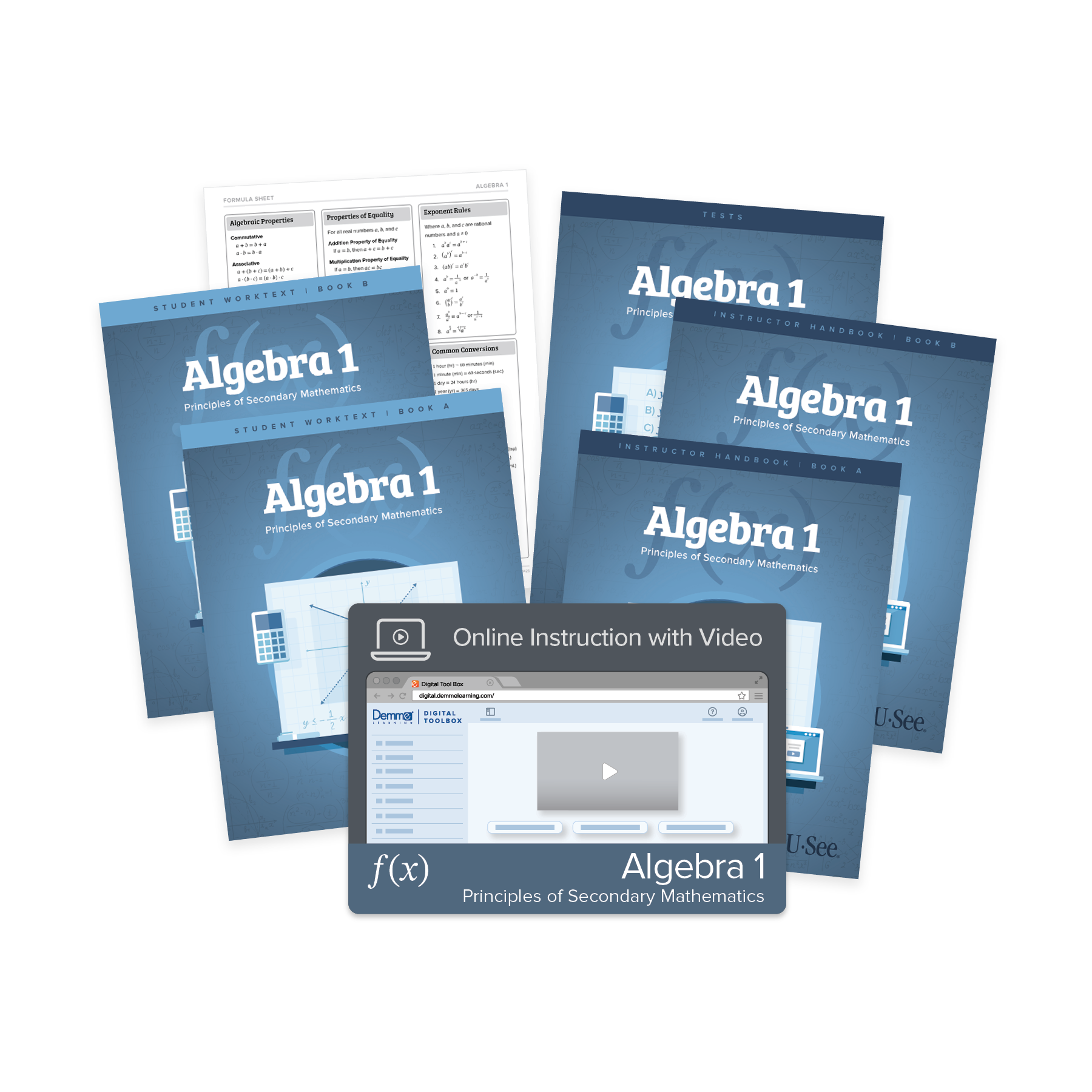 Algebra 1: Principles of Secondary Mathematics Curriculum